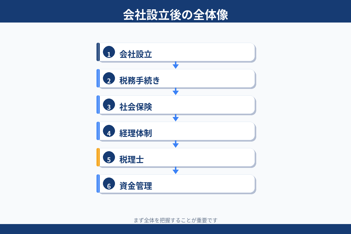 会社設立後の全体像 税務手続き 社会保険 経理体制 税理士 資金管理の流れ